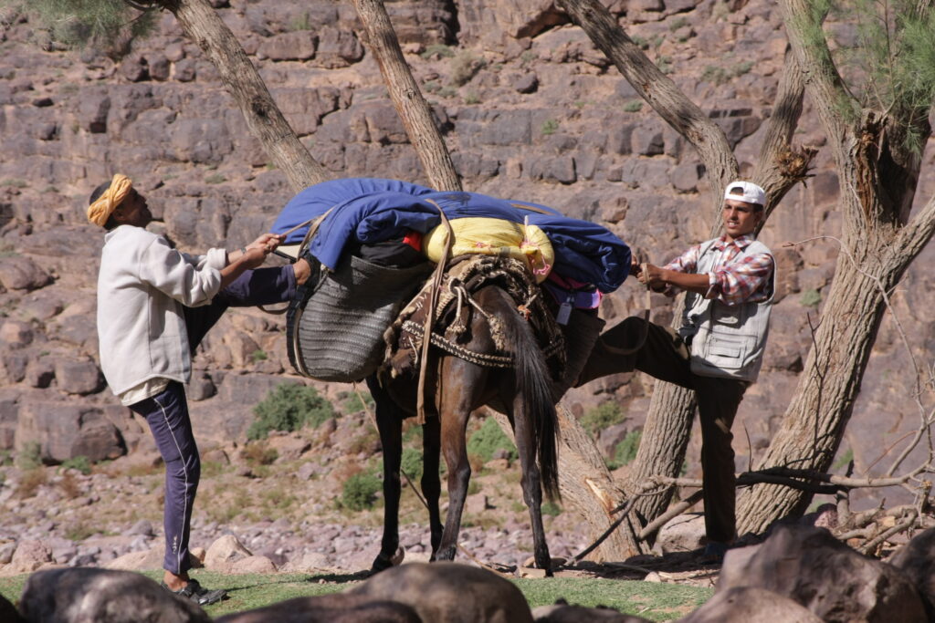 Trek dans le Djebel Saghro (Maroc)
