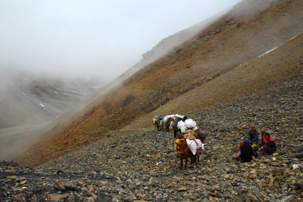 Trek au Zanskar, Phirtse La, Col à 5550 mètres
