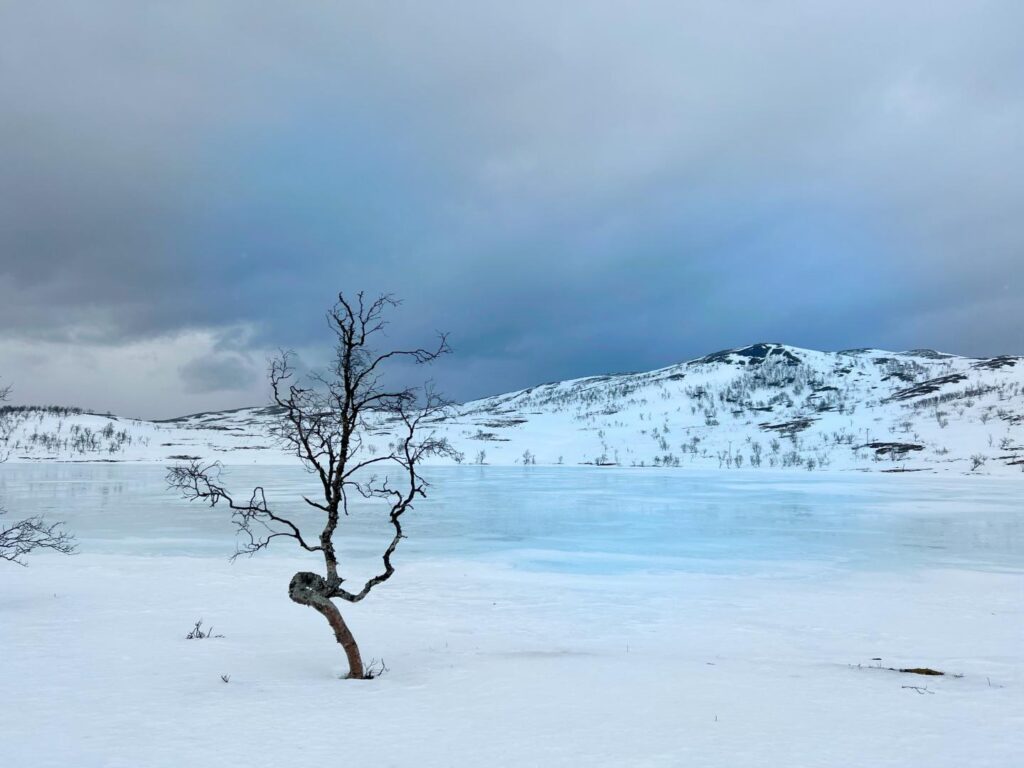Trek en Norvège
