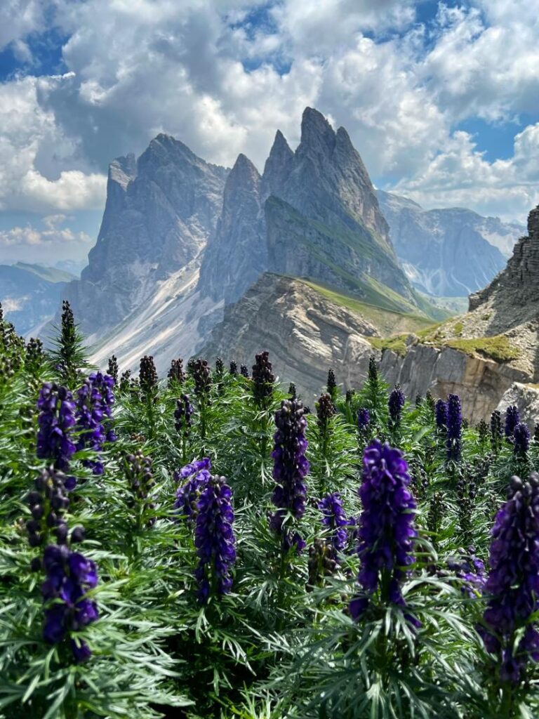 Trek dans les Dolomites
