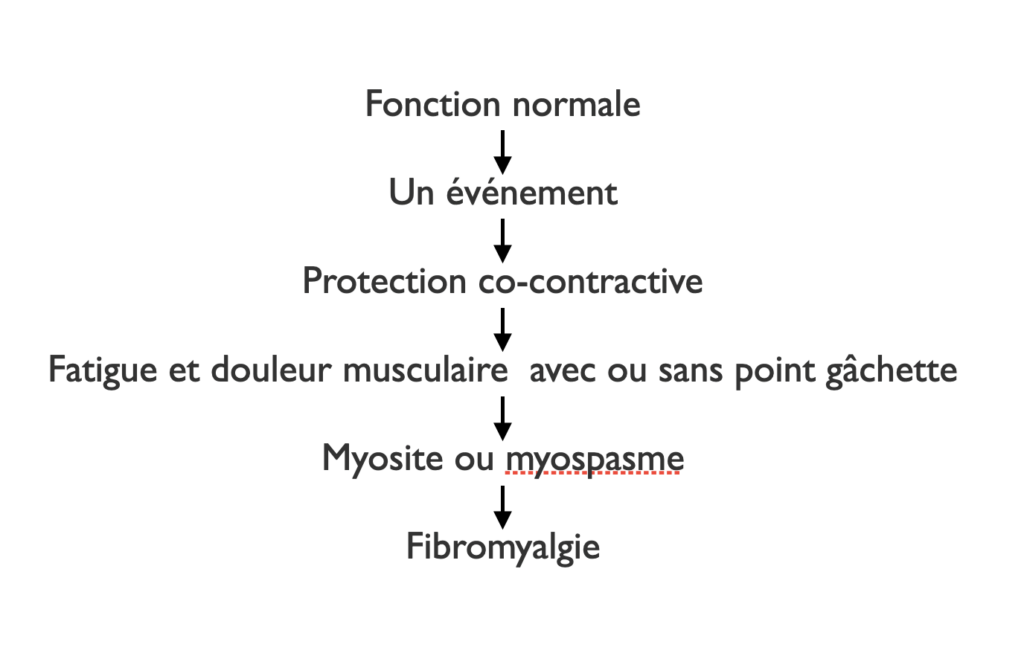 douleurs musculaires